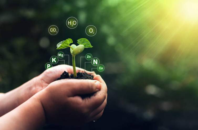 Microbiología ambiental: la gran importancia de los microorganismos