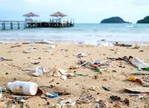 Qué es la contaminación por plásticos y cómo evitarla