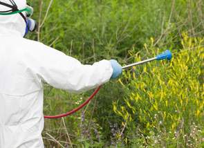 epidemiología ambiental