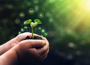 Microbiología ambiental: la gran importancia de los microorganismos