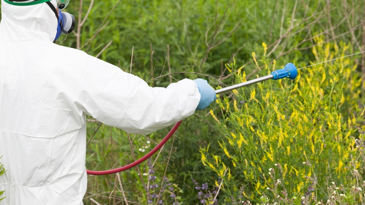 epidemiología ambiental