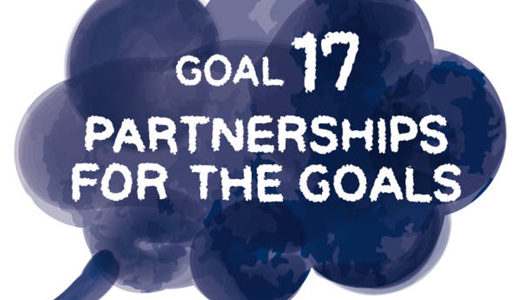 Las metas de la ODS 17: Alianzas para los objetivos