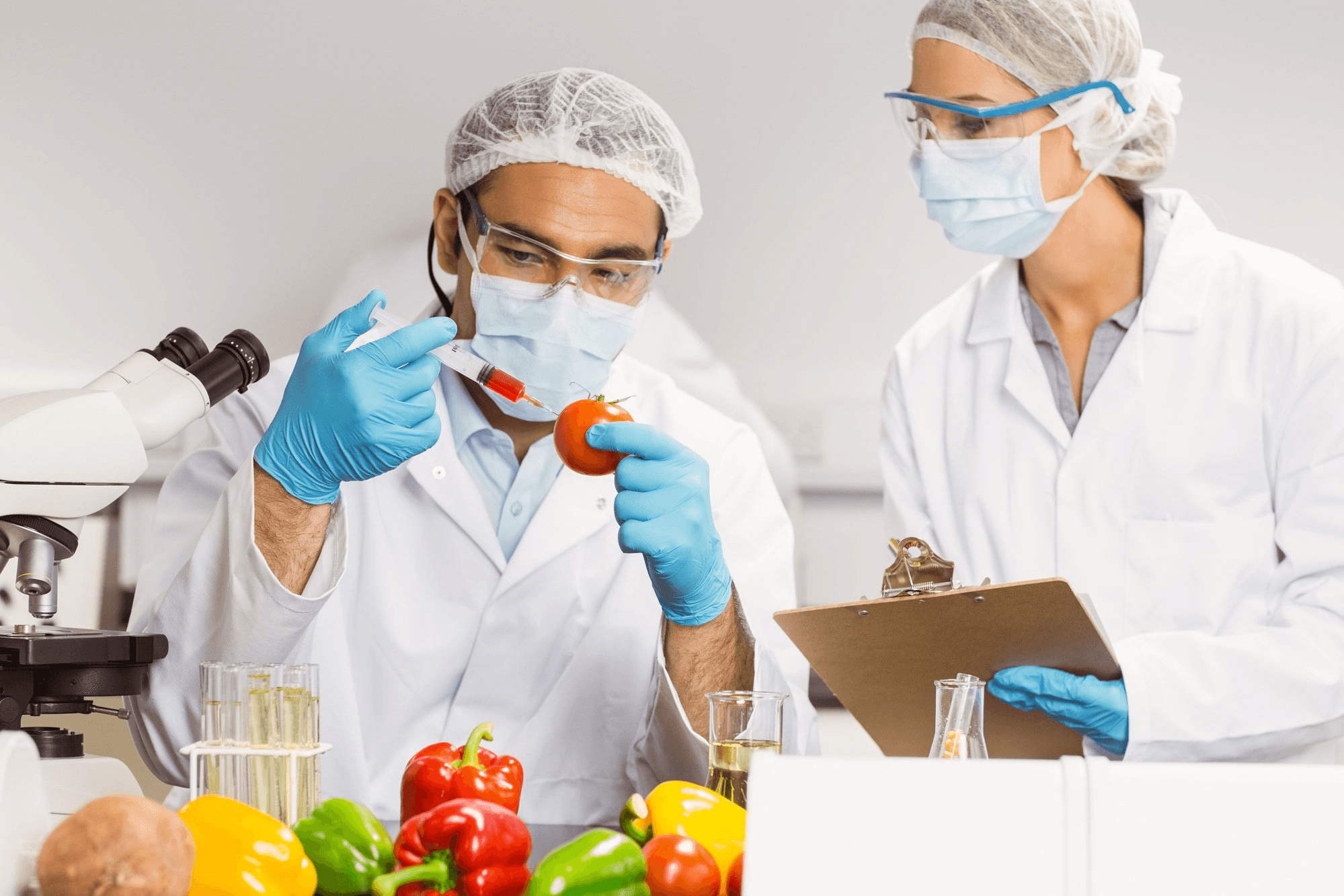 descubre la bromatologia la ciencia de los alimentos